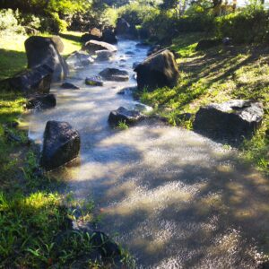 親水公園『せせらぎの川』　土・日・祝日　水遊び出来ます　　